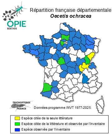 Carte de distribution de Oecetis ochracea (Curtis, 1825)