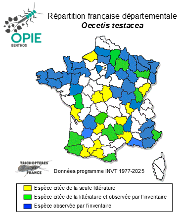 Carte de distribution de Oecetis testacea (Curtis, 1834)