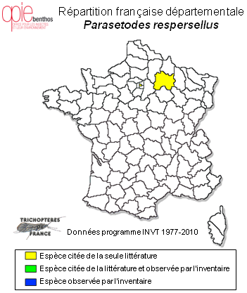 Carte de distribution de Parasetodes respersellus ( Rambur, 1842)