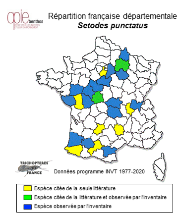 Carte de distribution de Setodes punctatus (Fabricius, 1793)