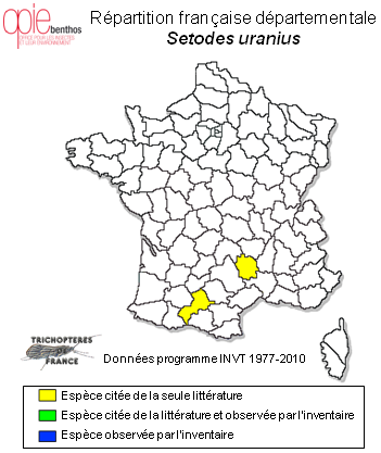 Carte de distribution de Setodes uranius Navás, 1916
