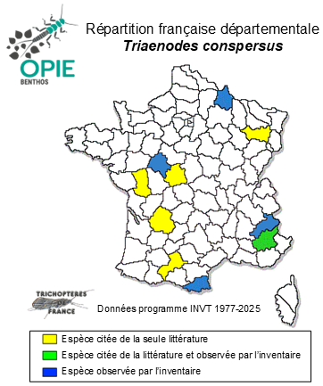 Carte de distribution de Triaenodes conspersus (Rambur, 1842 )