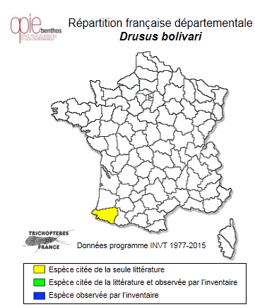 Carte de distribution de Drusus bolivari (McLachlan, 1880)