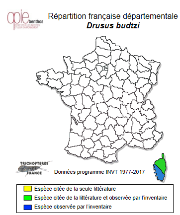 Carte de distribution de Drusus budtzi (Ulmer, 1913)