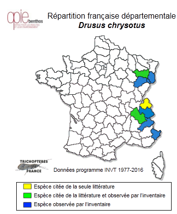 Carte de distribution de Drusus chrysotus (Rambur, 1842)