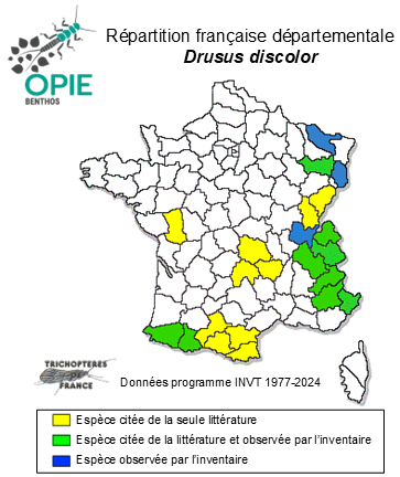 Carte de distribution de Drusus discolor (Rambur, 1842)