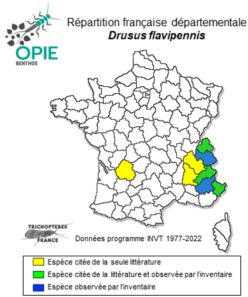 Carte de distribution de Drusus flavipennis (Pictet, 1834)