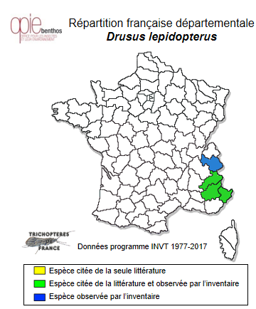 Carte de distribution de Drusus lepidopterus (Rambur, 1842)