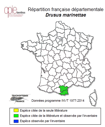 Carte de distribution de Drusus marinettae Sipahiler, 1992