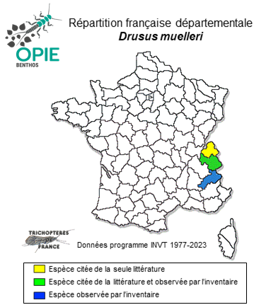Carte de distribution de Drusus muelleri McLachlan, 1868