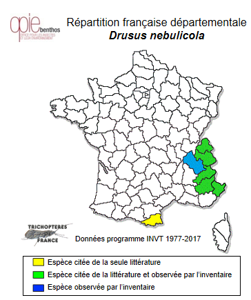 Carte de distribution de Drusus nebulicola (McLachlan, 1867)