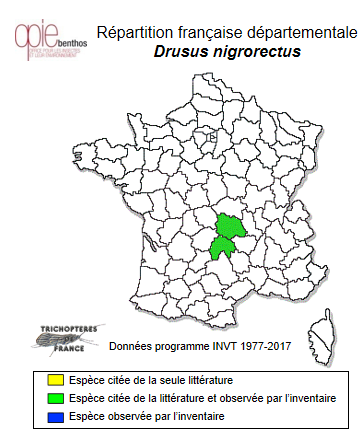Carte de distribution de Drusus nigrorectus Mosely, 1935