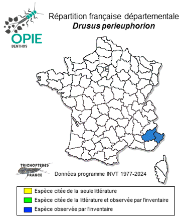 Carte de distribution de Drusus perieuphorion Le Guellec, Coppa & Guidi, 2023