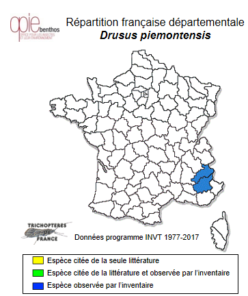 Carte de distribution de Drusus piemontensis Oláh, 2017