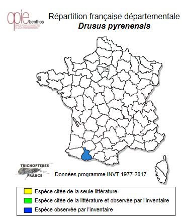Carte de distribution de Drusus pyrenensis Oláh & Coppa, 2015