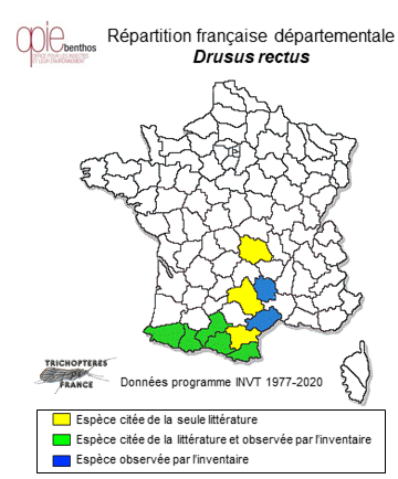 Carte de distribution de Drusus rectus McLachlan, 1868