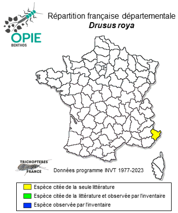 Carte de distribution de Drusus roya Oláh & Vinçon, 2023