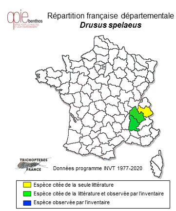 Carte de distribution de Drusus spelaeus (Ulmer, 1920)