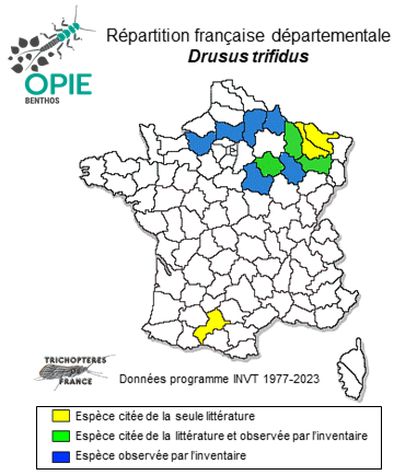 Carte de distribution de Drusus trifidus McLachlan, 1868