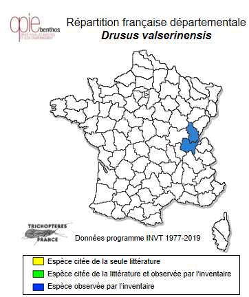 Carte de distribution de Drusus valserinensis Coppa & Oláh, 2017