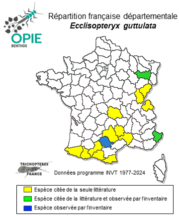 Carte de distribution de Ecclisopteryx guttulata (Pictet, 1834)
