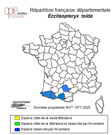 Carte de distribution de Ecclisopteryx tolda Oláh & Coppa, 2017