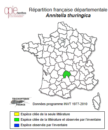Carte de distribution de Annitella thuringica (Ulmer, 1909)