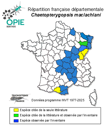 Carte de distribution de Chaetopterygopsis maclachlani Stein, 1874
