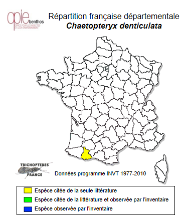 Carte de distribution de Chaetopteryx denticulata Décamps, 1971