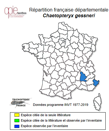 Carte de distribution de Chaetopteryx gessneri MacLachlan, 1876