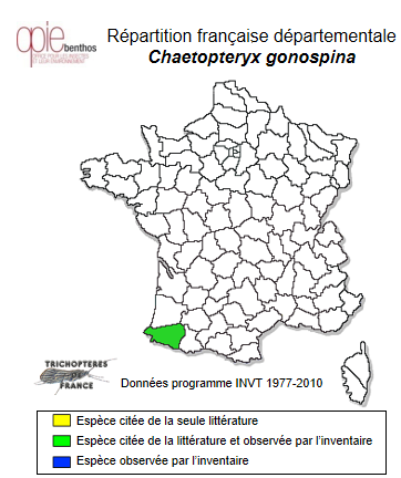 Carte de distribution de Chaetopteryx gonospina Marinković-Gospodnetić, 1966