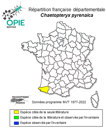 Carte de distribution de Chaetopteryx pyrenaica Oláh & Vinçon, 2022