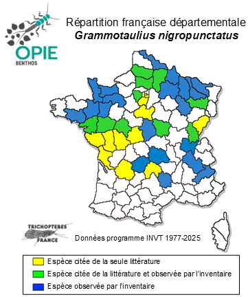 Carte de distribution de Grammotaulius nigropunctatus (Retzius, 1783)