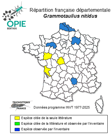 Carte de distribution de Grammotaulius nitidus (Müller, 1764)