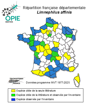Carte de distribution de Limnephilus affinis Curtis, 1834
