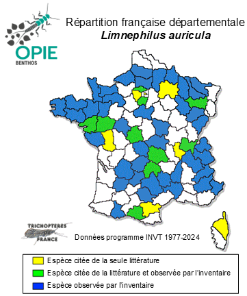 Carte de distribution de Limnephilus auricula Curtis, 1834