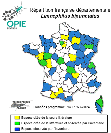 Carte de distribution de Limnephilus bipunctatus Curtis, 1834