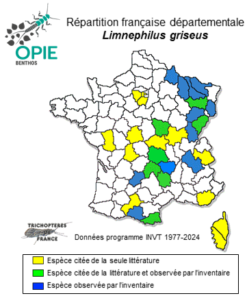 Carte de distribution de Limnephilus griseus Linnaeus, 1758