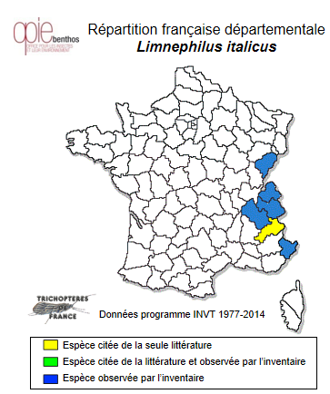 Carte de distribution de Limnephilus italicus MacLachlan, 1884