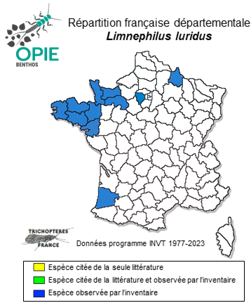 Carte de distribution de Limnephilus luridus Curtis, 1834