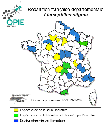 Carte de distribution de Limnephilus stigma Curtis, 1834