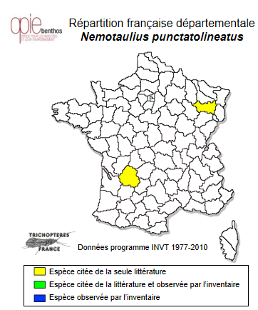 Carte de distribution de Nemotaulius punctatolineatus (Retzius, 1783)