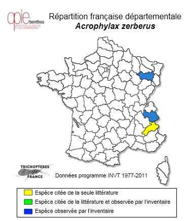 Carte de distribution de Acrophylax zerberus Brauer, 1867