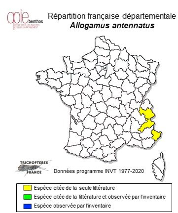 Carte de distribution de Allogamus antennatus MacLachlan, 1876