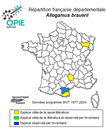 Carte de distribution de Allogamus brauerii (Kolenati, 1859)