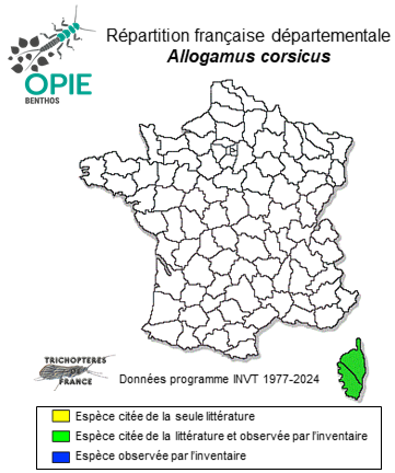 Carte de distribution de Allogamus corsicus (Ris, 1897)