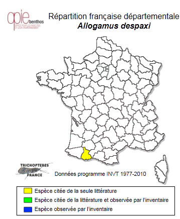 Carte de distribution de Allogamus despaxi Décamps, 1968
