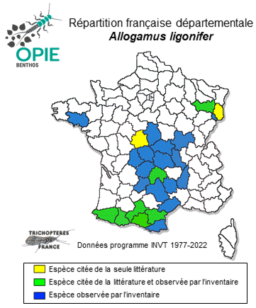 Carte de distribution de Allogamus ligonifer (MacLaclan, 1876)