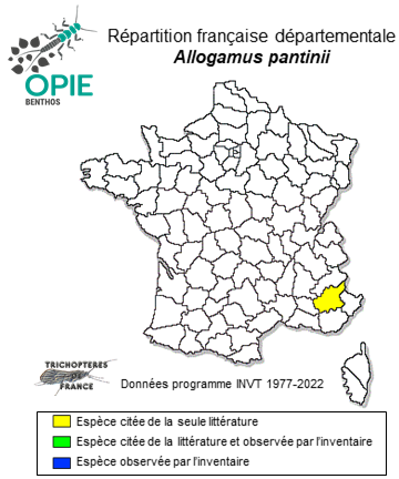 Carte de distribution de Allogamus pantinii Oláh, Lodovici & Valle, 2014