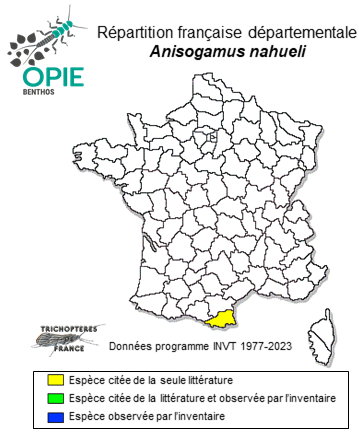 Carte de distribution de Anisogamus nahueli Oláh & Vinçon, 2023